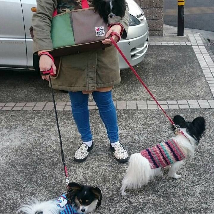 Def7baf6 454a 44a5 92d7 885693b0e604