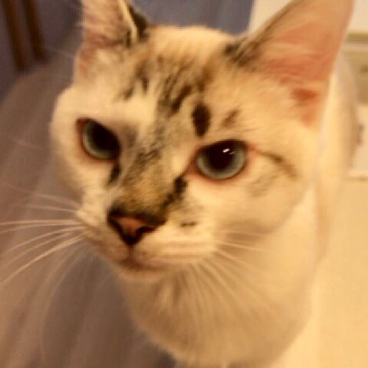 Def7c3d9 1507 4c46 9a6a 338ecdb51a91