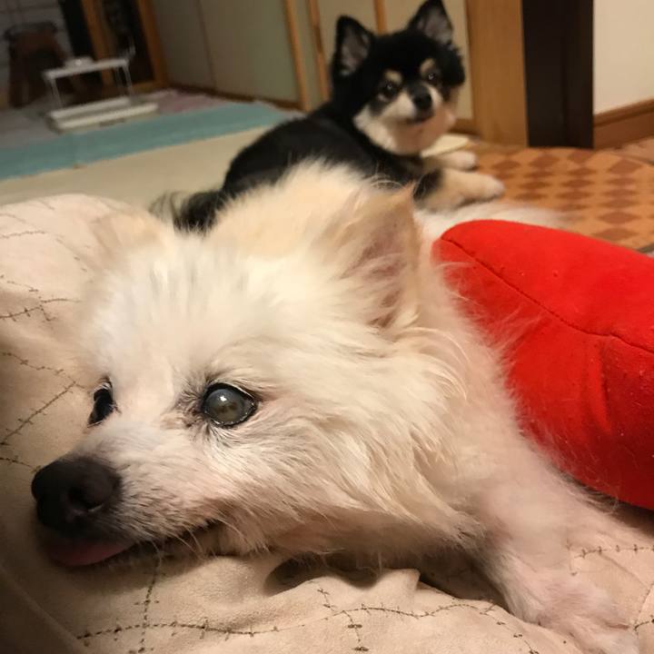 Def8222f bd92 472e 898d ea21df556b9e