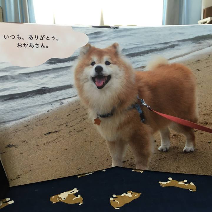 Def823d1 175c 40e9 bb0b 8b8484fc82b3