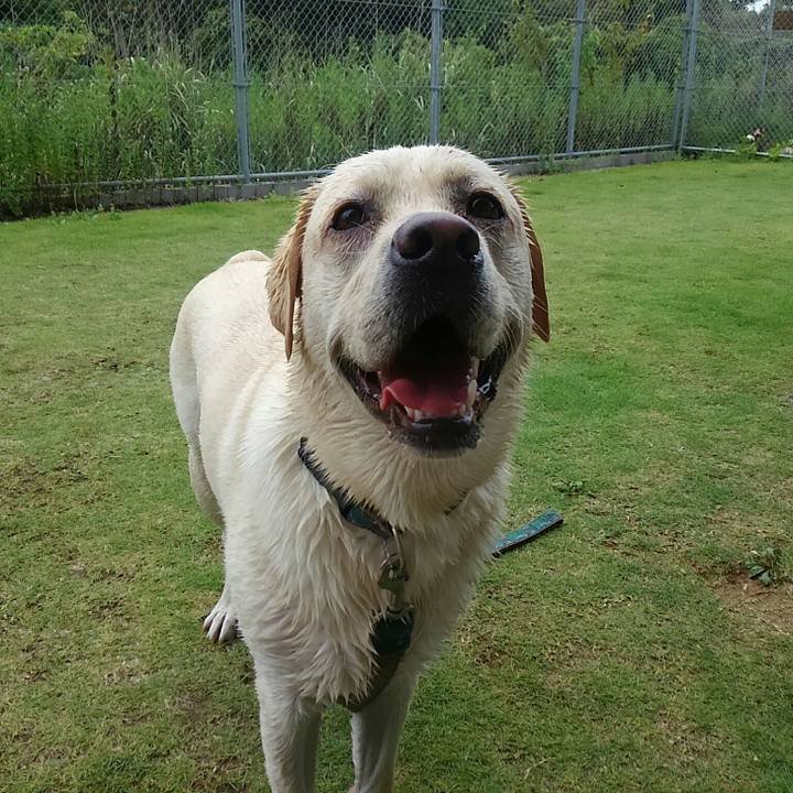 Def90cfd 58d7 48ad 8471 7b9ef6d46710