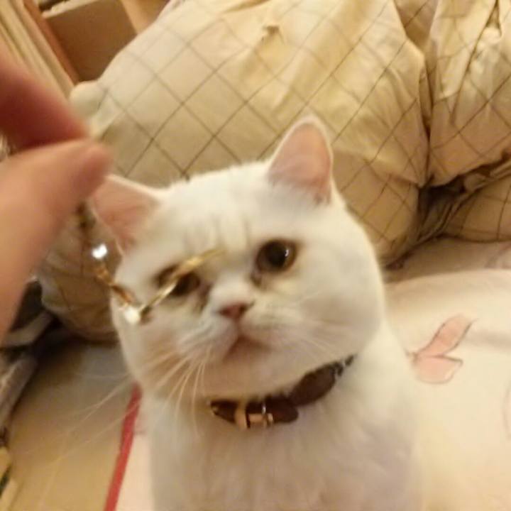 Def912bb a58f 4e72 9ed4 9902b181c6f0