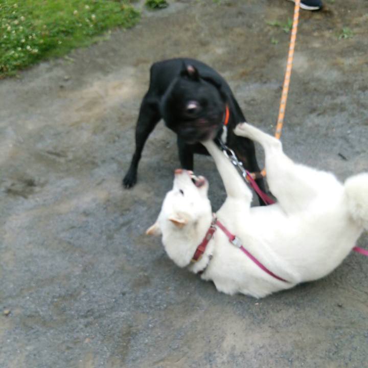 Def9bd0e 6733 41c0 94f4 8edd3ab137ab