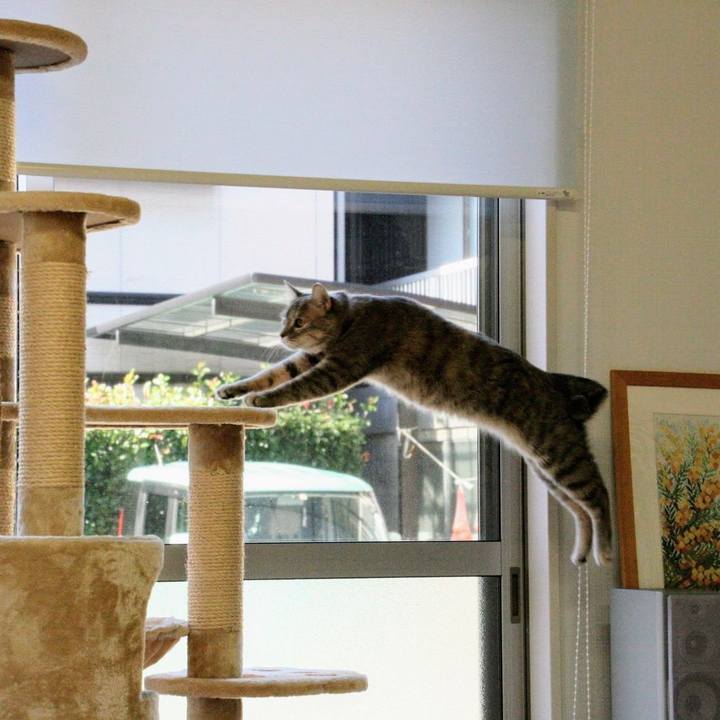 Defa3afb c4db 4a0a a365 8cdff75c5a42