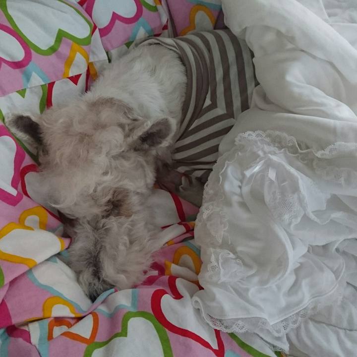 Defb7004 663d 4d19 b903 e4f7ef4ff9dc