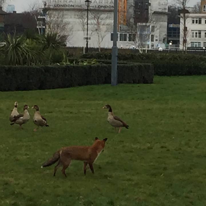 Defbdf3a 19ca 4953 b369 0c74a8cd3a0d