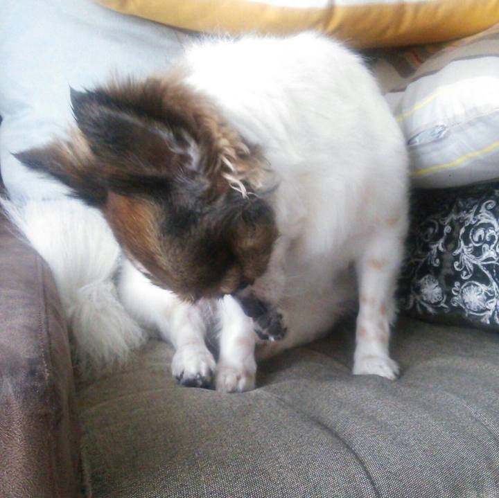 Defc2a66 2297 4423 9408 56162330a523