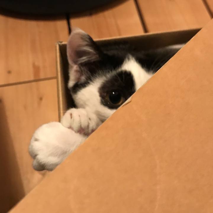 Defc3d20 900a 4bb7 bf2b d5b9637bd161