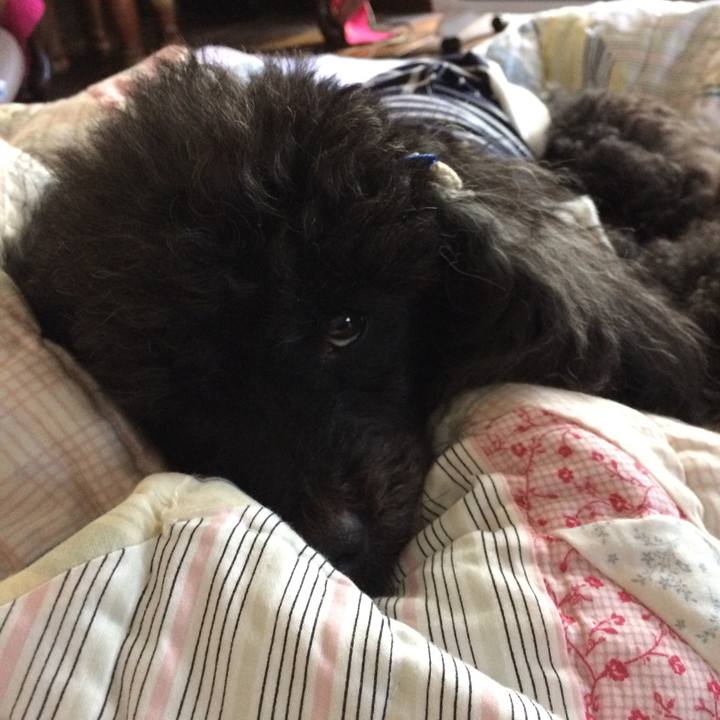 Defd16dd e24d 40b0 bfb4 5cef8430de9d