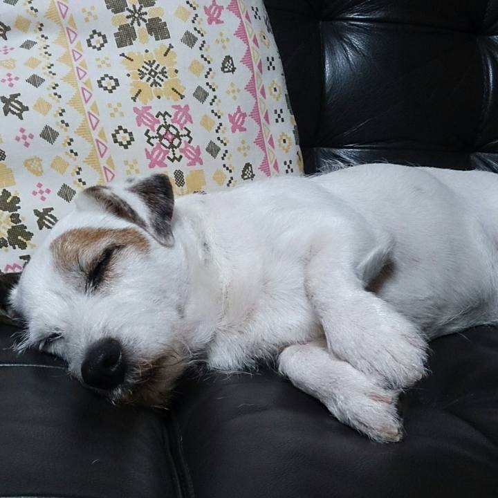 Defd48c2 c6dd 4b2b bee2 83ca93fda3ff