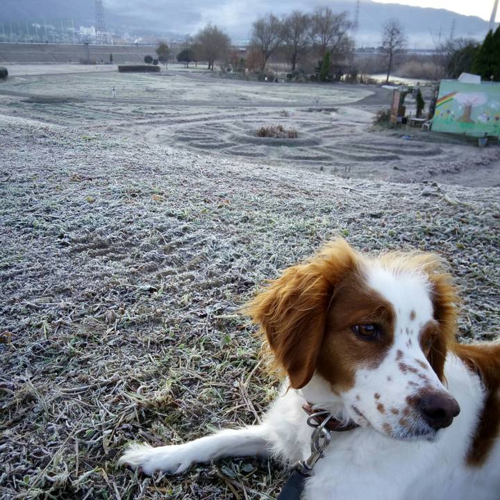 Defdb2e0 5654 499d a1fd 23435e6b92a0