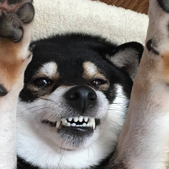 Defe0294 b07c 4e65 93d3 e10ace63133a