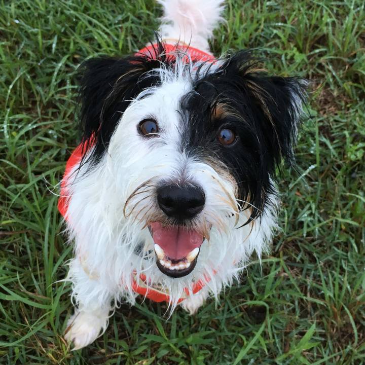 Defe4e65 30f3 4e67 a6f6 4ff1333cd781