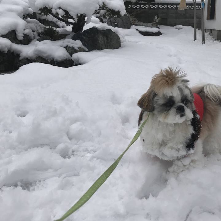 Defe8bfd 4229 465c 9f1e f8c2ce341957