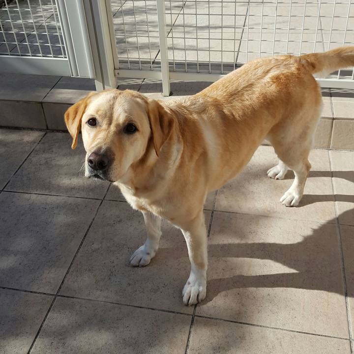 Defe9db2 1b61 4904 a08c e3217b406e2f