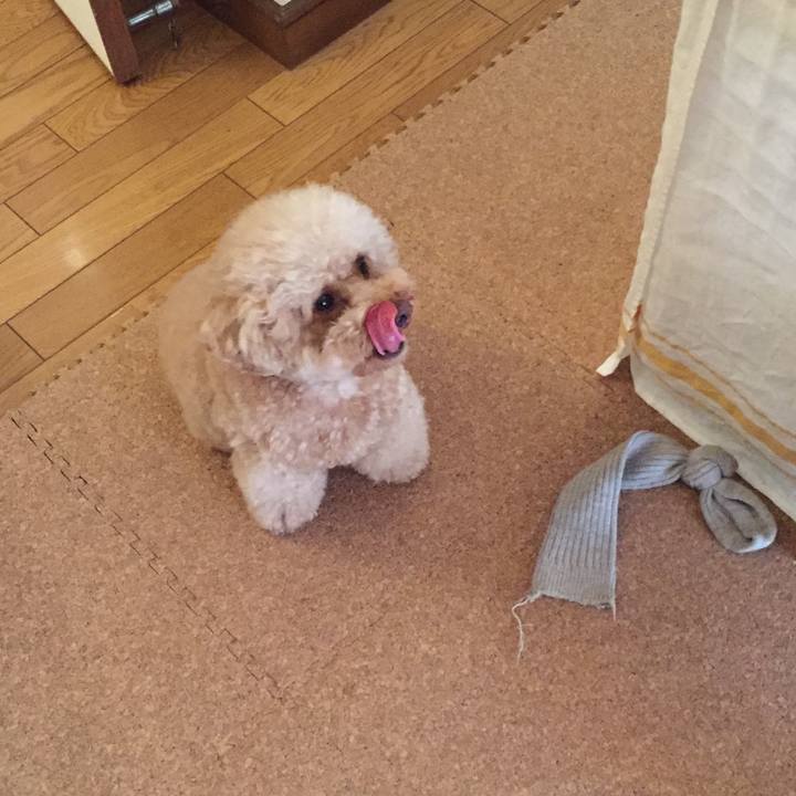 Defef088 d83e 4e2b 91df 4d432c6095c8