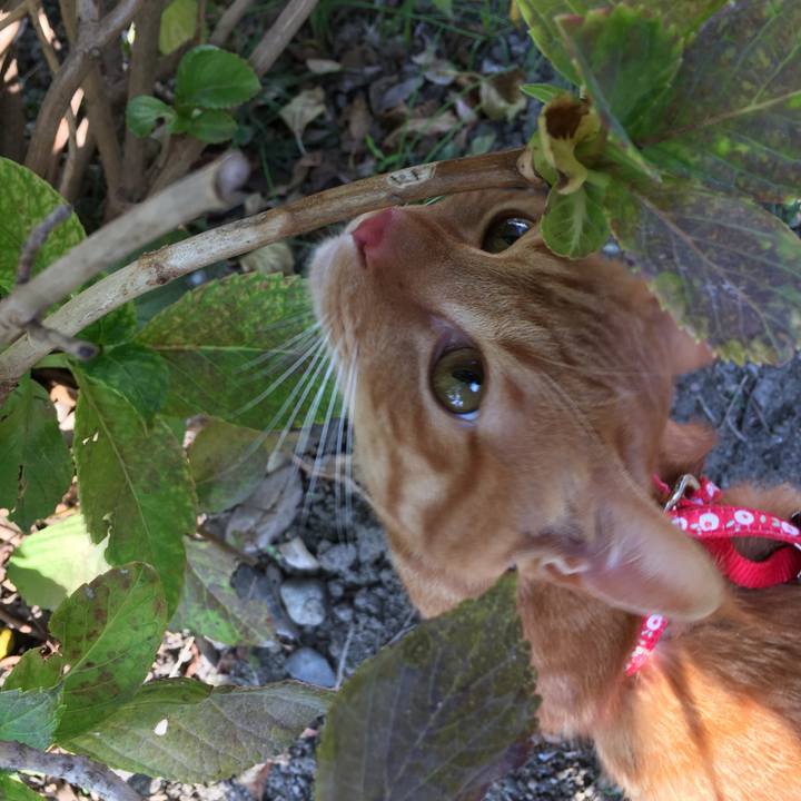 Deff7938 ee27 4628 8914 af997541db0c