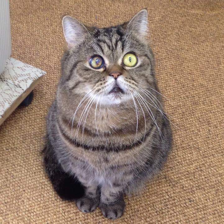 Deff82fa b7b0 438b 9fb5 04adfcd738ad