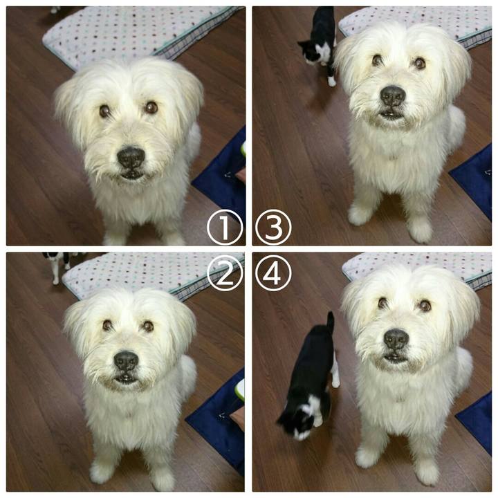 Df002c6b 581a 4f8d 9785 5793056abe86