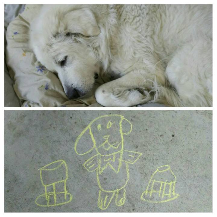 Df003bb0 9da3 486b a415 575c61c9d4bd