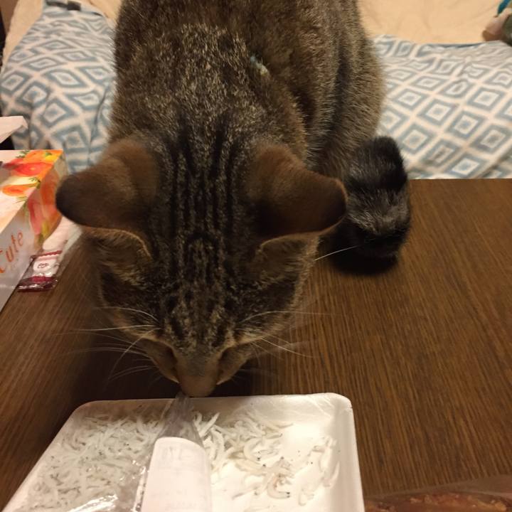 Df013251 41af 43aa b59b 356b6e3183fc