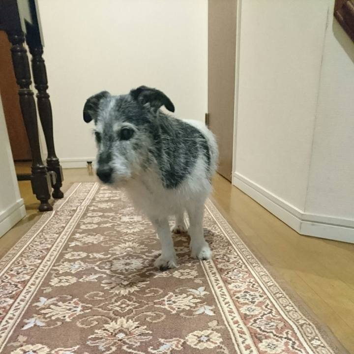 Df01fae2 aab5 40ab b5f4 0d8709d1b1aa