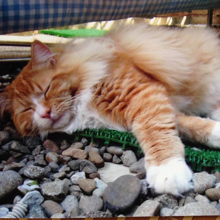 Df025169 2221 4768 931c 9e2d211c4585