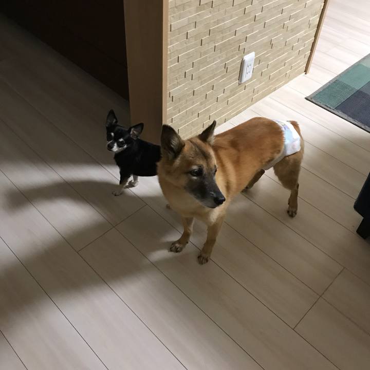 Df0261a6 d3ac 4dcf 87c8 74e3df45e5a7