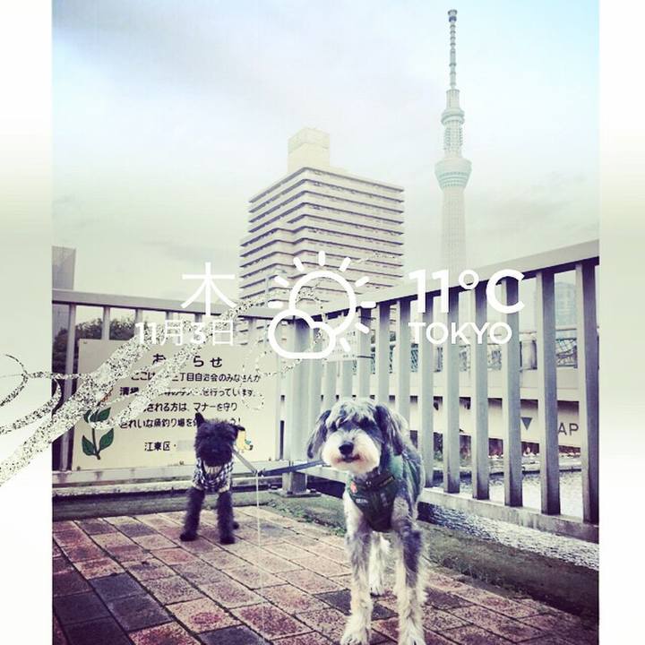 Df026827 2b08 4677 9f21 f609cc2a039d