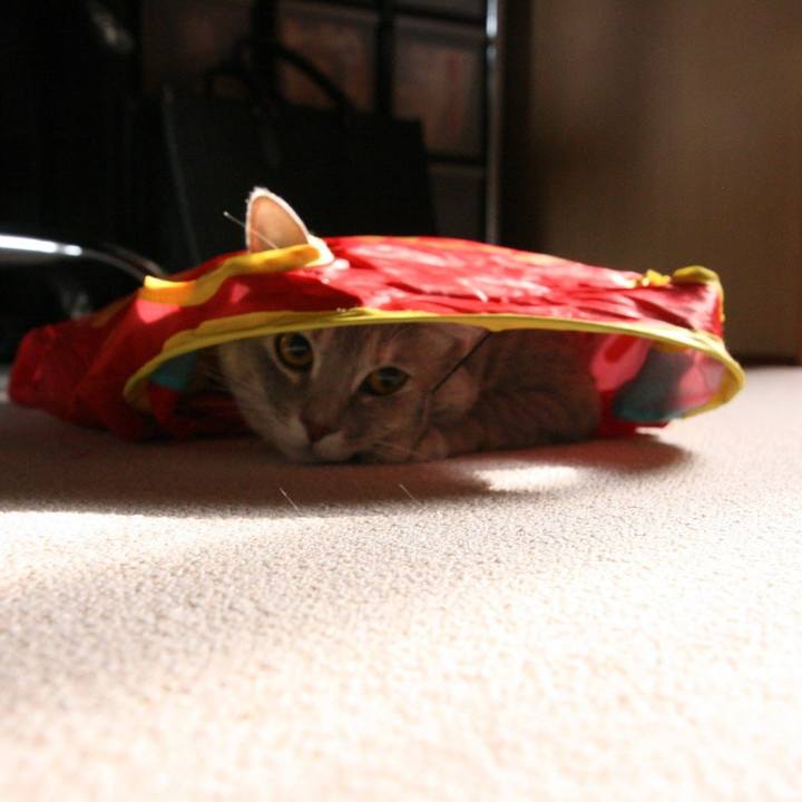 Df030c6e ea14 41fa 9283 522b2be0ddd3