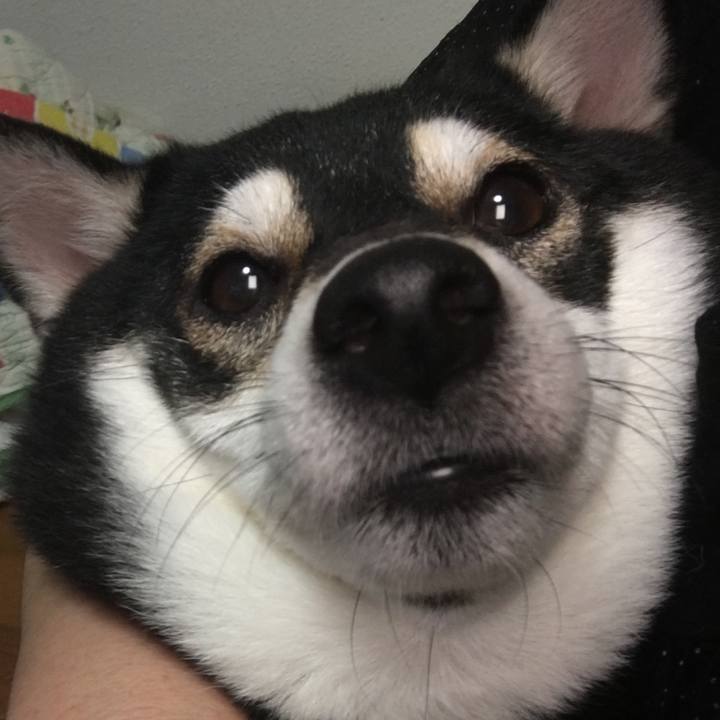 Df031236 dc6f 4891 b934 216691713495