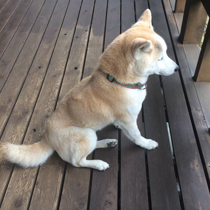 Df0418e0 81ef 453e 967d 13aac2492496