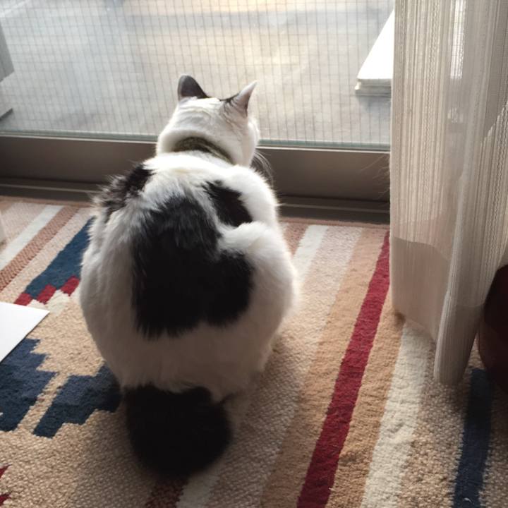 Df0443a5 e32e 4e58 bbbc 2afc4e490417