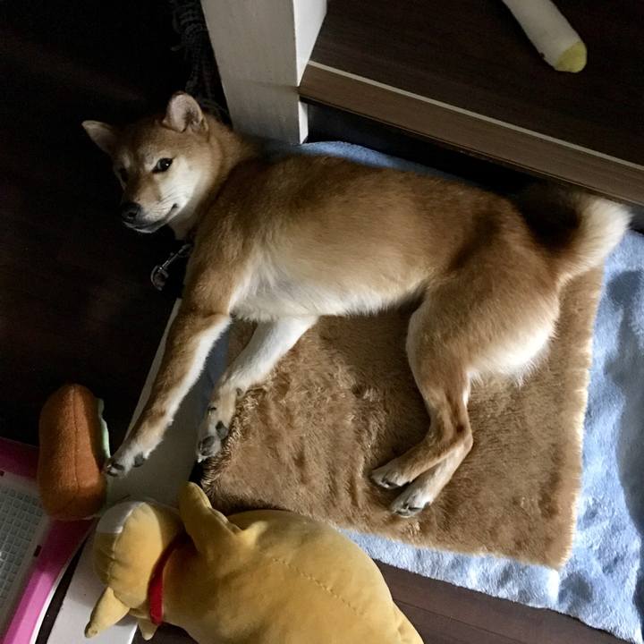 Df046a8b b2c3 4d99 bc01 a20f1b3551a1