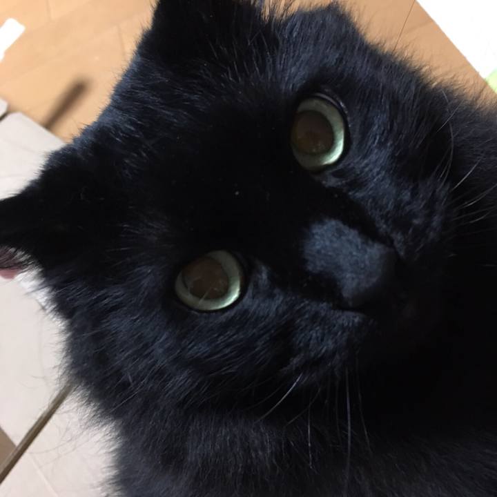 Df04cabf a724 4317 be60 fcde4a4fe33e