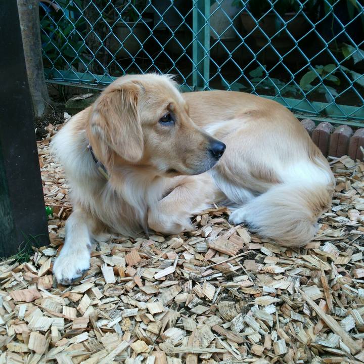 Df059761 d77c 4df6 8542 636e746176de