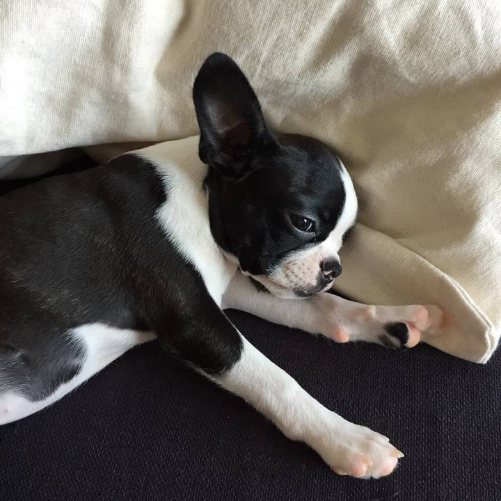 Df06979b 9e1f 481b b2c2 5930642c7ffa