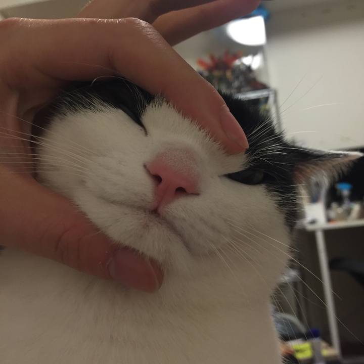 Df069d3d b824 4fa3 bd4a 6cbe3bca98cc