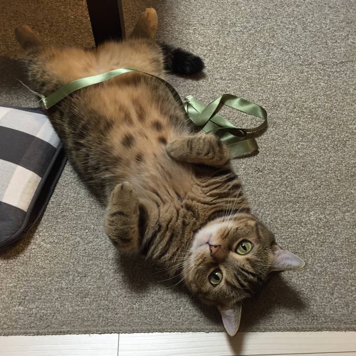 Df06fc88 e0aa 4685 ada5 c8fa259ee8d2