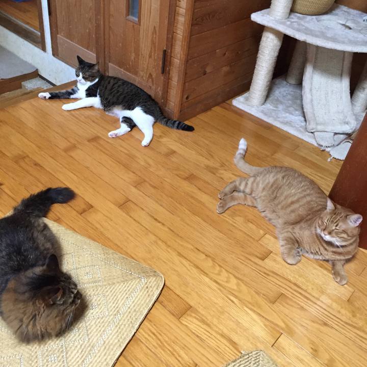 Df0708e1 b14e 48df 8e51 0e62d72eb4ce