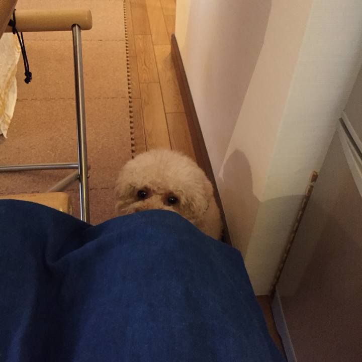 Df079145 e3b4 4912 b3a6 122db62ba5ac