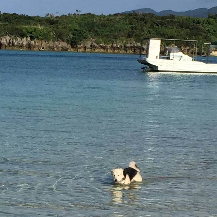 Df086f2a ad83 417d 9691 c9a1791e2855