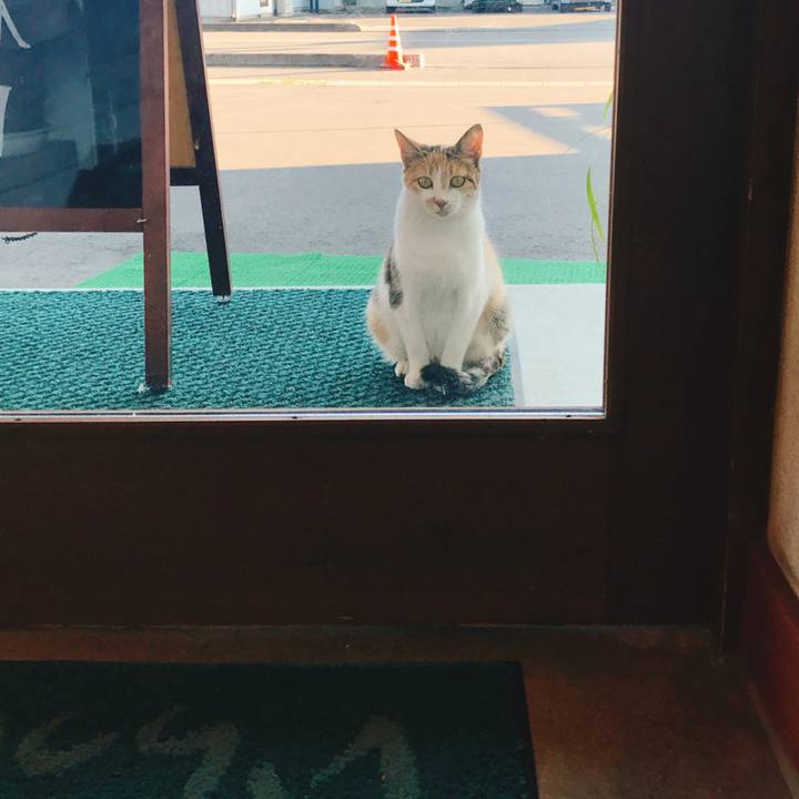 Df092e0a 46d7 42b8 9b5f e15ba99d84fc