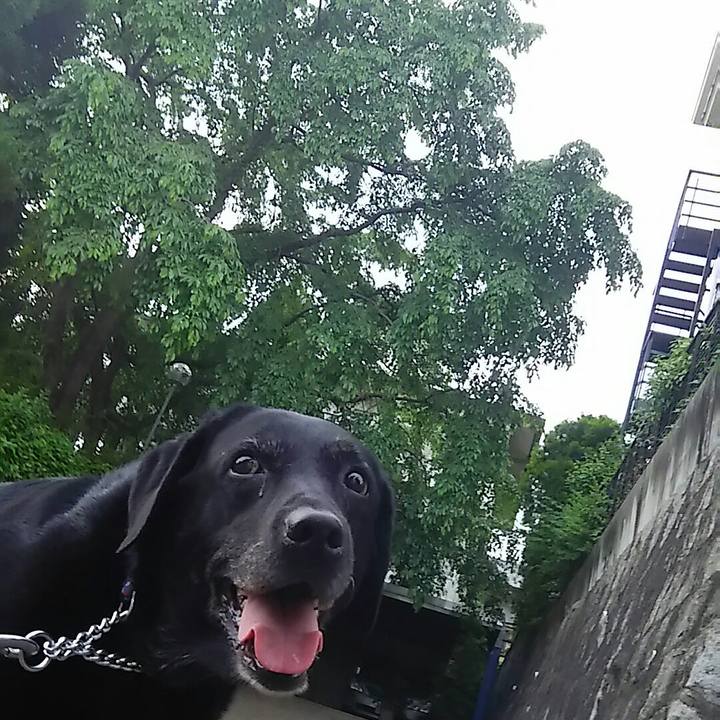 Df09521f 8894 4f89 9b9f 0d4de99ff3c1