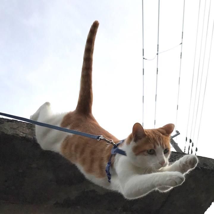 Df09dac2 a90e 4af2 8db0 0eb3439073ad