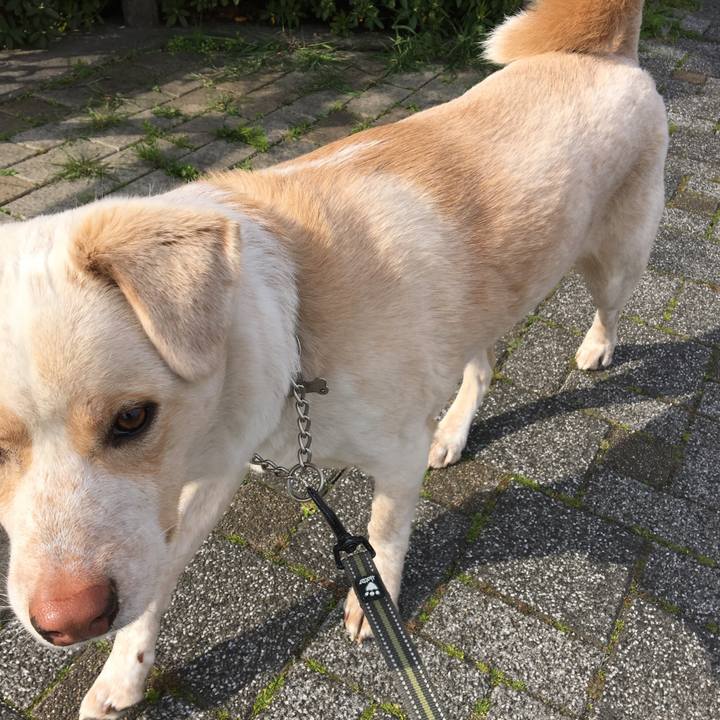 Df0a1840 60a5 472f 8a0d a5dc73be47b8