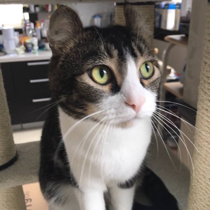 Df0a687c fb3e 4879 ab52 6490ec714985