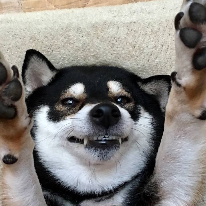 Df0a8d11 b8e6 4c04 8bdb e679b85dbd0a