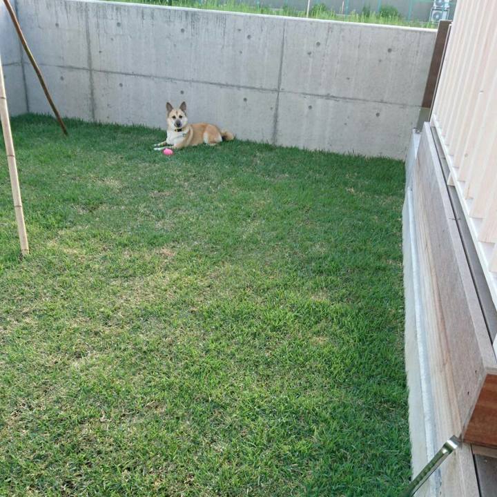 Df0b049b 7833 4ece 91f8 1ba3db1e043a