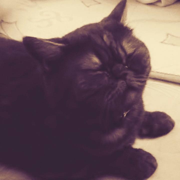 Df0b5a37 4914 4d56 b117 062d3d2daf17